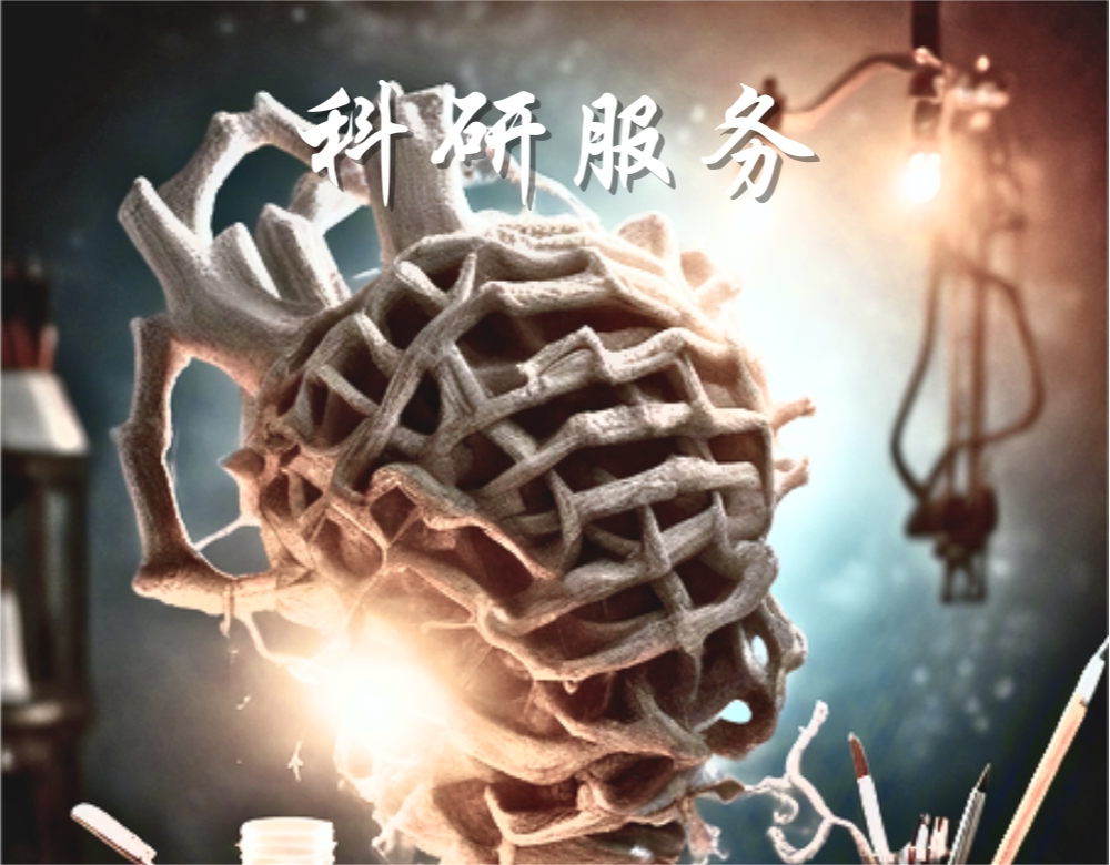 科研服务