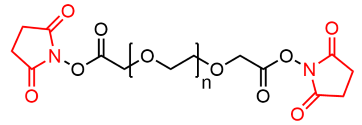 1 (2).png