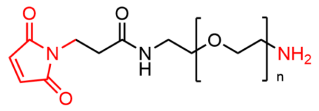 NH2- (4).png